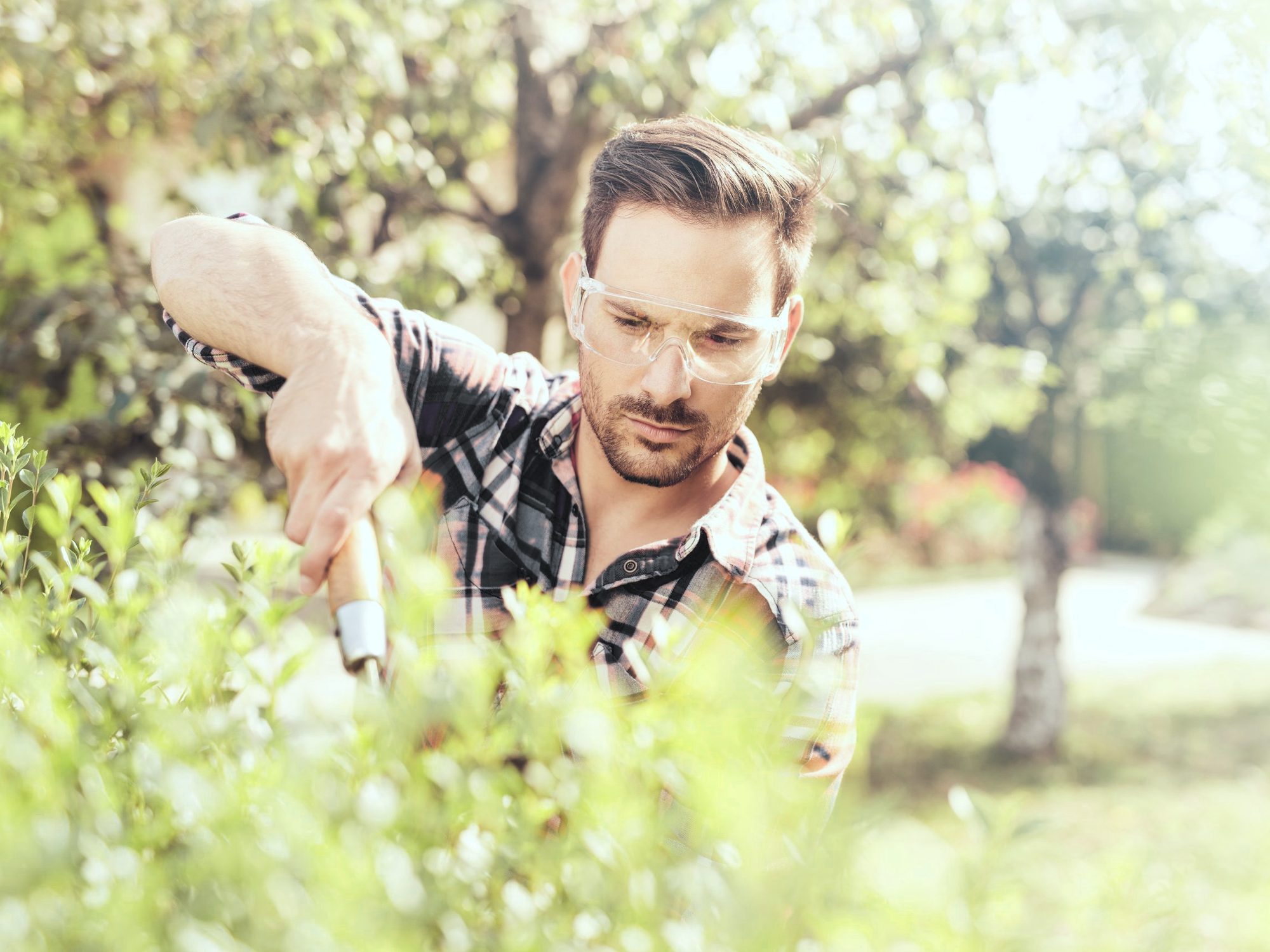 Mann schneidet mit einer Gartenschere einen Strauch