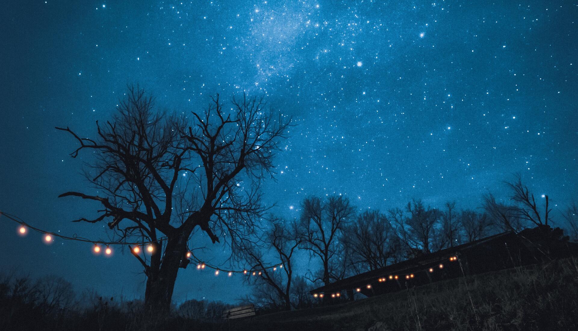 lrg-sternenhimmel-header Sternenhimmel über kahlen Bäumen mit leuchtender Lichterkette