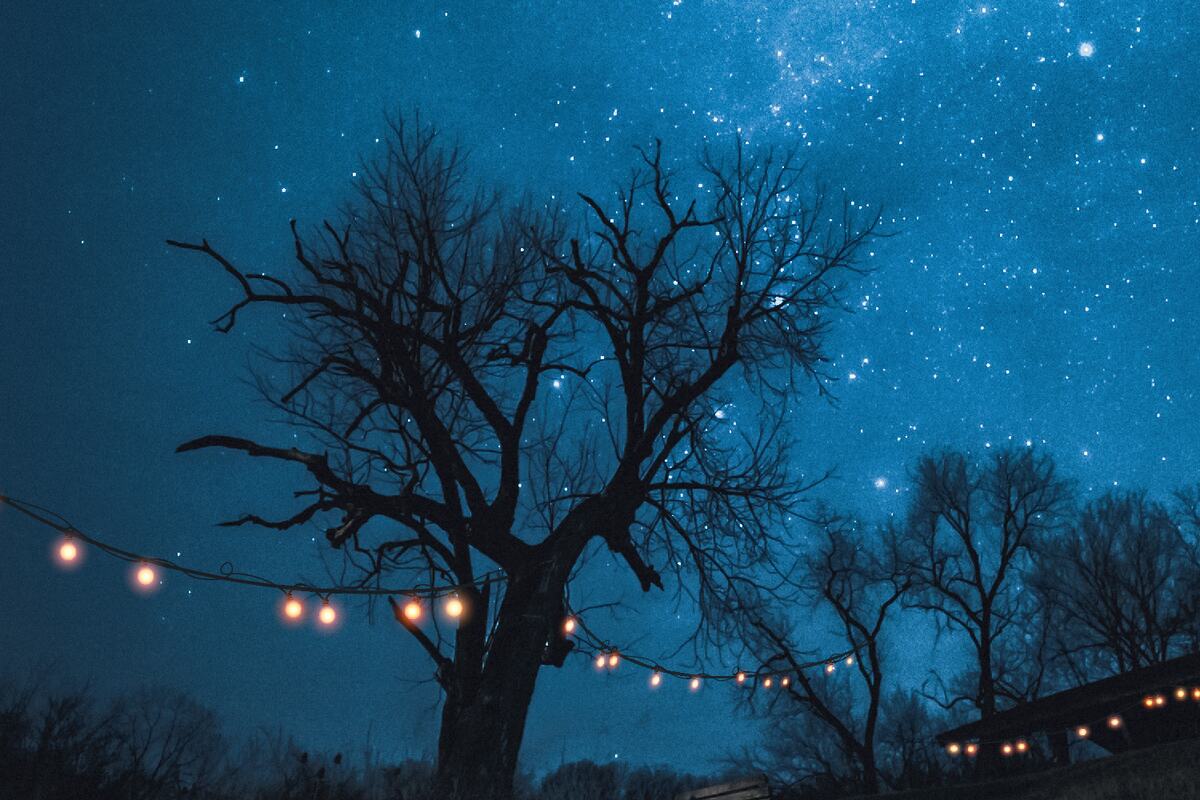 Lichterkette unter dem Sternenhimmel